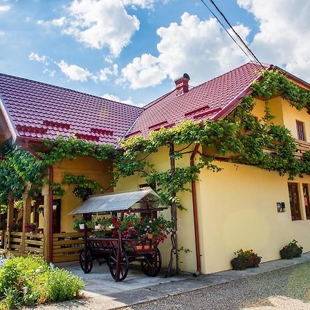 Готель Casa Andreea Сучевіца Екстер'єр фото