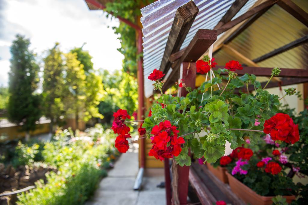 Готель Casa Andreea Сучевіца Екстер'єр фото