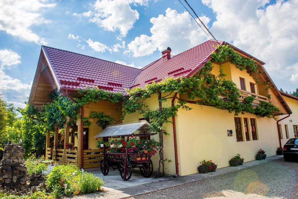Готель Casa Andreea Сучевіца Екстер'єр фото